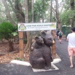 コアラを抱っこしよう！「ローンパイン　コアラ　サンクチュアリ」オーストラリア　ブリズベンの観光スポット