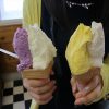 「いでぼく」のミルクソフトクリームが静岡で一番美味しい！ 静岡県富士宮市の観光スポット